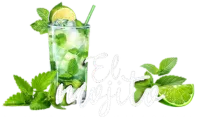 El Mojito Restaurant Melbourne